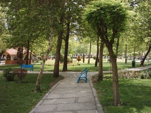 پروژه پلاک کوبی درختان منطقه 4 تهران - شرکت سورنا پردازش
