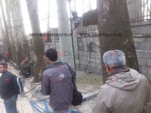 پروژه پلاک کوبی درختان و شناسنامه دار کردن درختان کاخ سعد آباد تهران