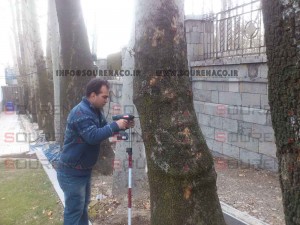 پروژه پلاک کوبی درختان و شناسنامه دار کردن درختان کاخ سعد آباد تهران