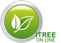 Logo_ITREE_Online